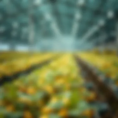 Optimizing Yield Farming on PancakeSwap Yield Farming Strategies