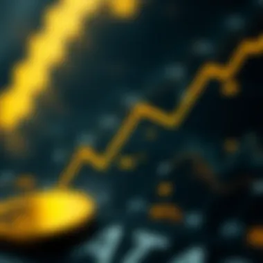 Infographic showing the importance of transaction IDs in cryptocurrency