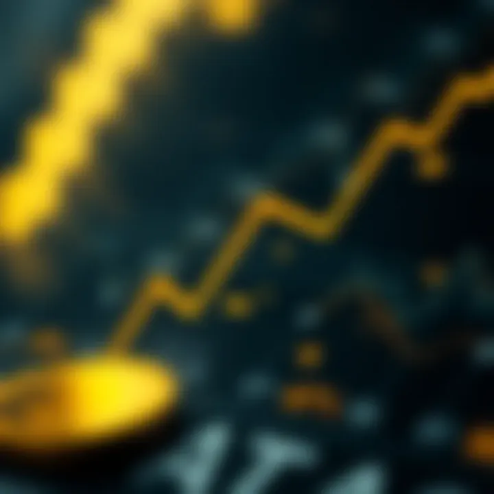 Infographic showing the importance of transaction IDs in cryptocurrency