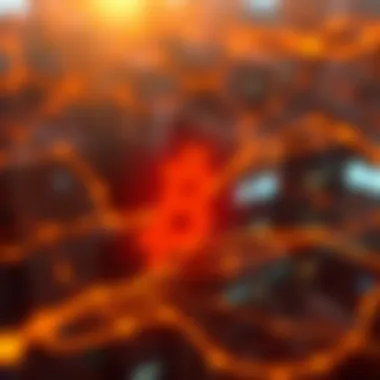 Visual representation of a transaction ID in a blockchain network